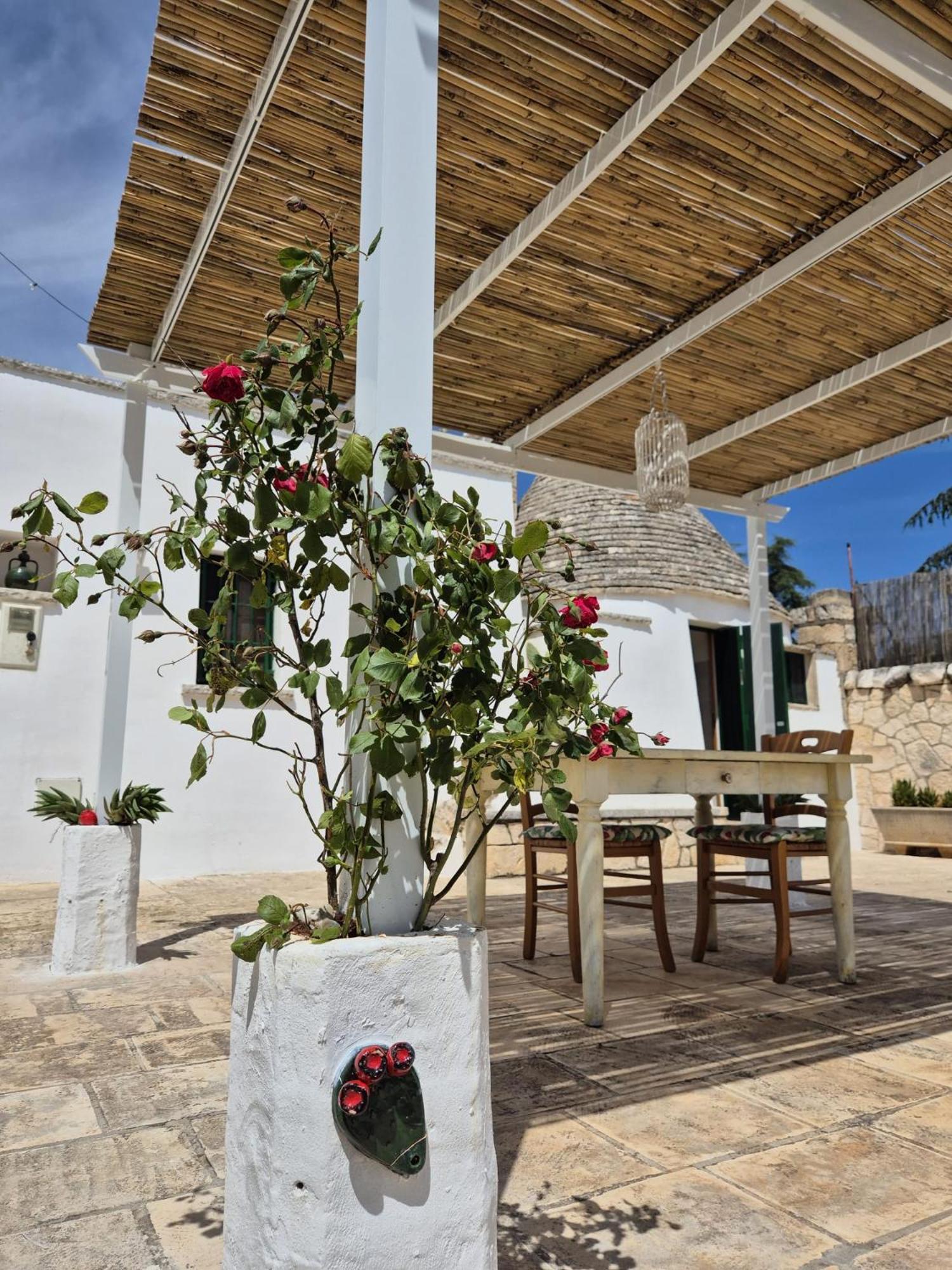 Trulli And Pool - I Cactus Villa Martina Franca Eksteriør bilde